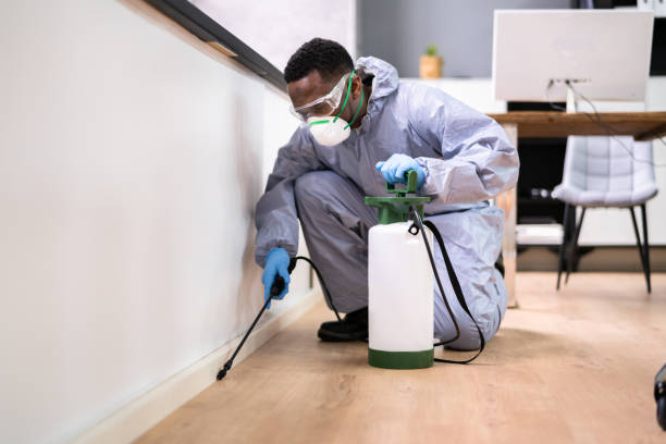 Best Real Estate Pest Inspections  in Ajo, AZ